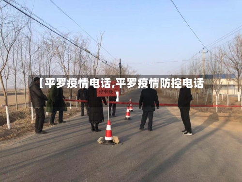 【平罗疫情电话,平罗疫情防控电话】-第2张图片