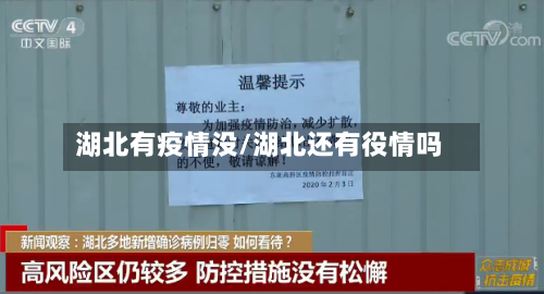 湖北有疫情没/湖北还有役情吗