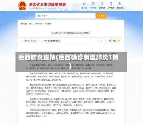 岳西肺炎疫情(岳西确诊新型肺炎1例)