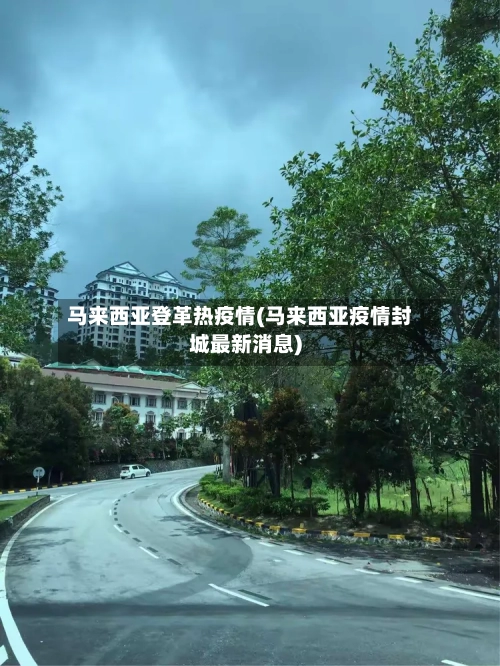 马来西亚登革热疫情(马来西亚疫情封城最新消息)