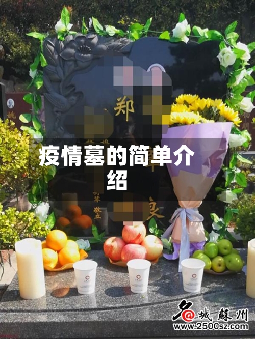 疫情墓的简单介绍-第2张图片