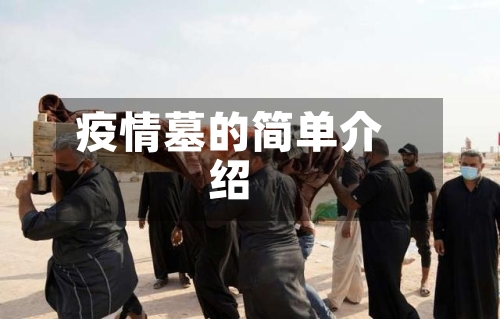 疫情墓的简单介绍-第3张图片