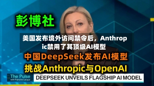 美国发布境外访问禁令后，Anthropic禁用了其顶级AI模型-第3张图片