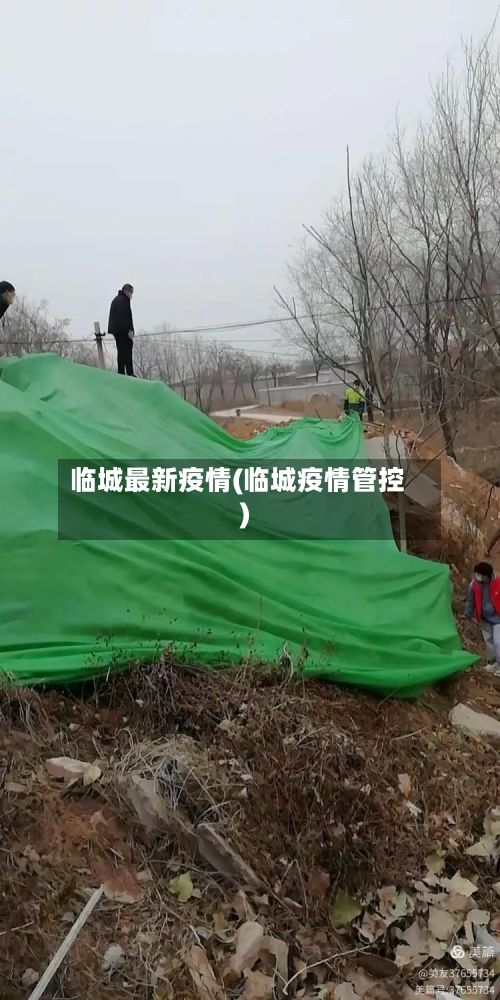 临城最新疫情(临城疫情管控)-第2张图片