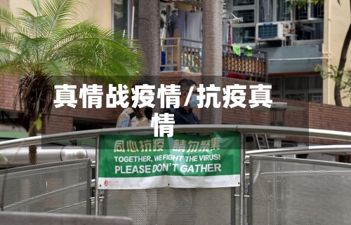真情战疫情/抗疫真情-第2张图片