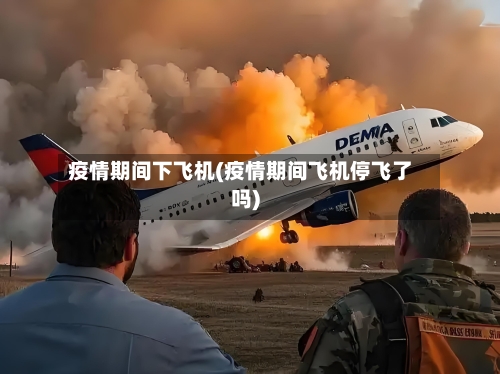 疫情期间下飞机(疫情期间飞机停飞了吗)