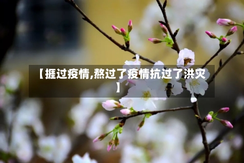 【捱过疫情,熬过了疫情抗过了洪灾】