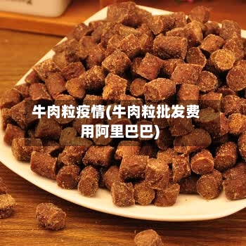 牛肉粒疫情(牛肉粒批发费用阿里巴巴)
