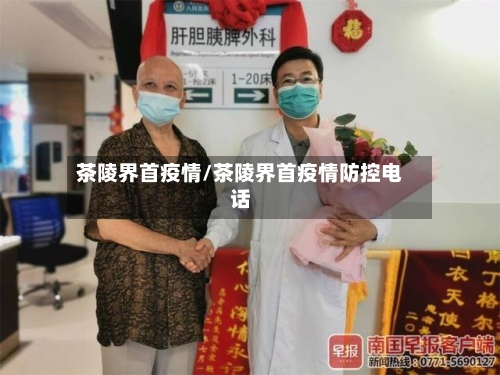 茶陵界首疫情/茶陵界首疫情防控电话