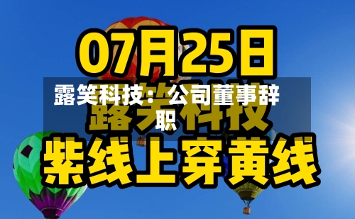 露笑科技:公司董事辞职-第2张图片