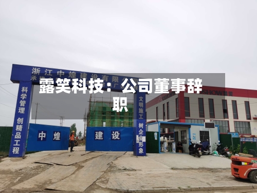 露笑科技:公司董事辞职-第3张图片