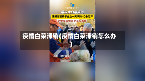 疫情白菜滞销(疫情白菜滞销怎么办)