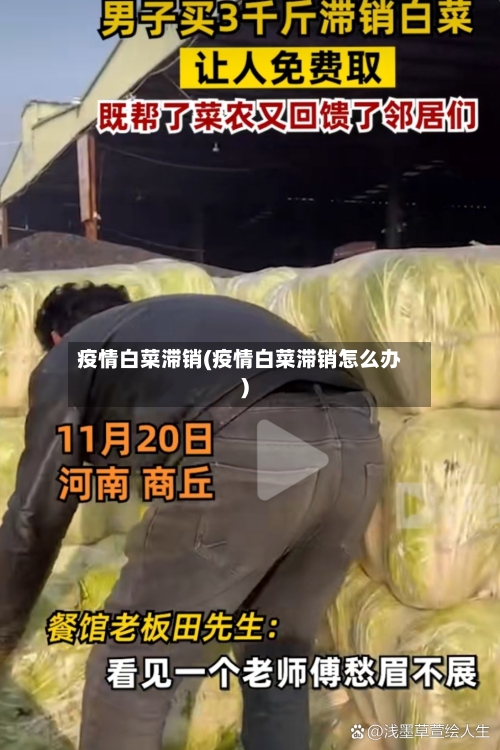 疫情白菜滞销(疫情白菜滞销怎么办)-第2张图片