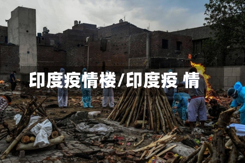 印度疫情楼/印度疫 情
