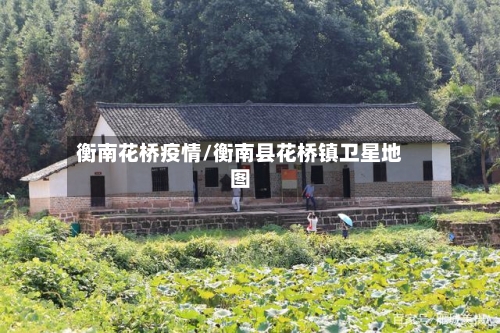 衡南花桥疫情/衡南县花桥镇卫星地图