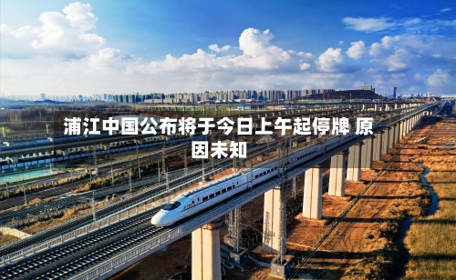 浦江中国公布将于今日上午起停牌 原因未知-第1张图片