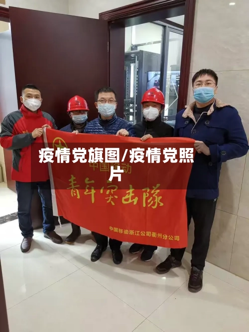 疫情党旗图/疫情党照片-第2张图片