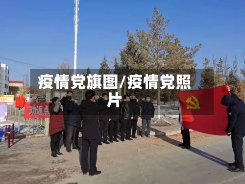 疫情党旗图/疫情党照片