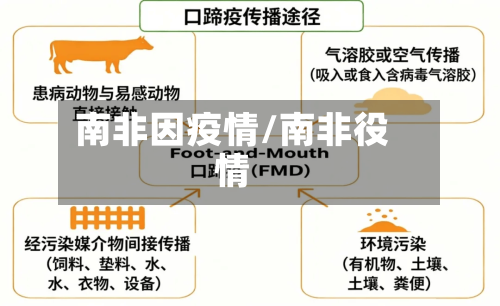 南非因疫情/南非役情