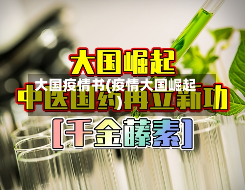 大国疫情书(疫情大国崛起)