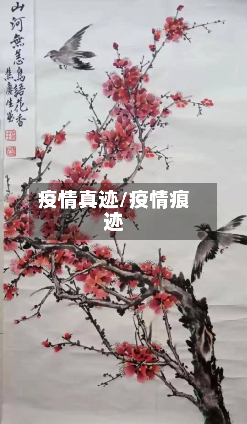 疫情真迹/疫情痕迹
