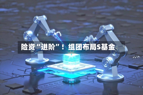 险资“进阶”！组团布局S基金