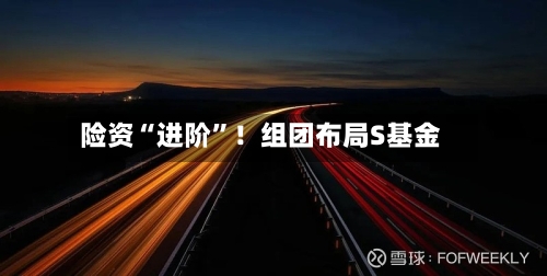 险资“进阶”！组团布局S基金-第2张图片