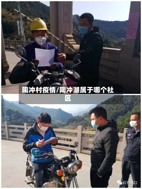 陶冲村疫情/陶冲湖属于哪个社区-第2张图片