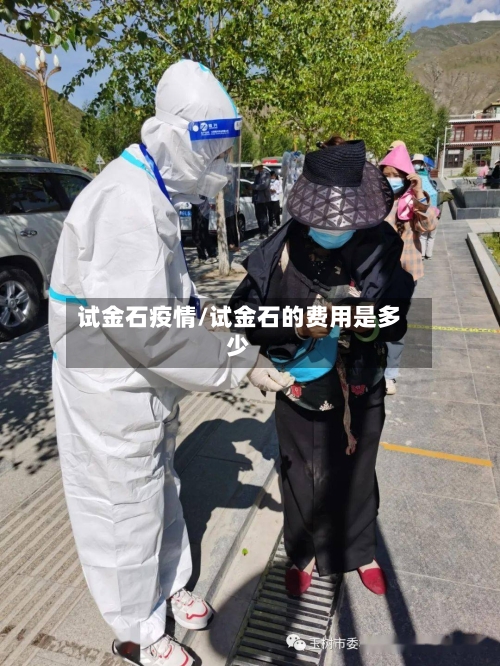 试金石疫情/试金石的费用是多少