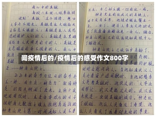 闻疫情后的/疫情后的感受作文800字