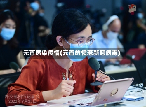 元首感染疫情(元首的愤怒新冠病毒)