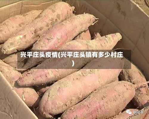 兴平庄头疫情(兴平庄头镇有多少村庄)-第2张图片