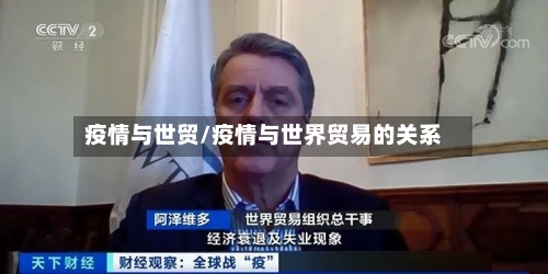 疫情与世贸/疫情与世界贸易的关系-第3张图片