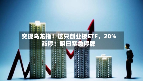 突现乌龙指！这只创业板ETF，20%涨停！明日紧急停牌