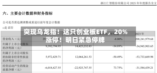 突现乌龙指！这只创业板ETF，20%涨停！明日紧急停牌-第2张图片