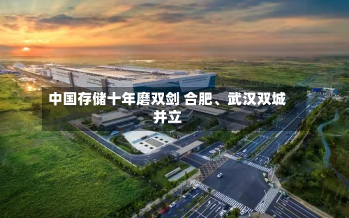中国存储十年磨双剑 合肥、武汉双城并立