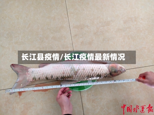 长江县疫情/长江疫情最新情况-第2张图片