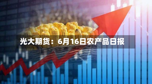 光大期货:6月16日农产品日报-第2张图片
