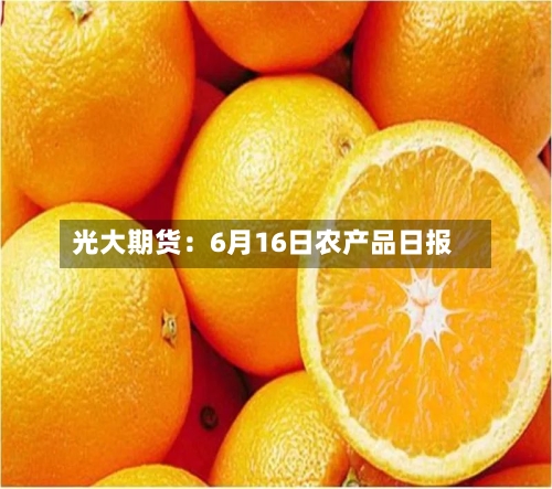 光大期货:6月16日农产品日报-第1张图片