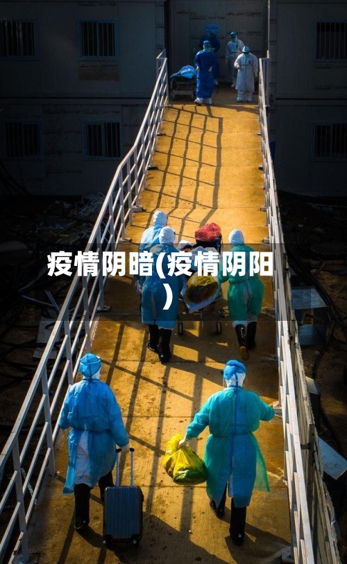 疫情阴暗(疫情阴阳)