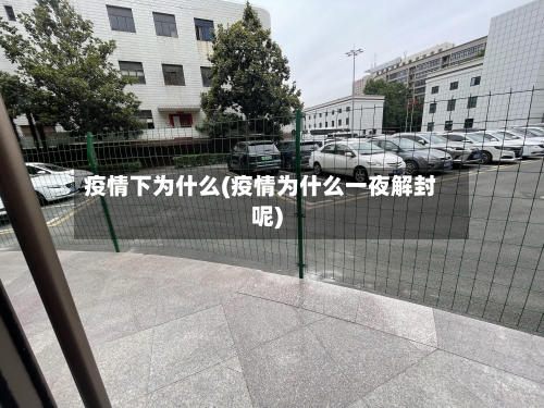 疫情下为什么(疫情为什么一夜解封呢)