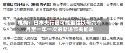 机构：日本央行很可能继续以每六个月至一年一次的渐进节奏加息
