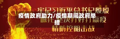 疫情政府助力/疫情期间政府举措