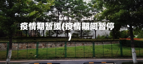 疫情期暂缓(疫情期间暂停)-第2张图片