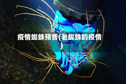 疫情蜘蛛预售(老蜘蛛的疫情)-第2张图片