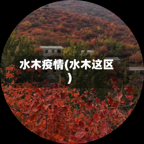 水木疫情(水木这区)