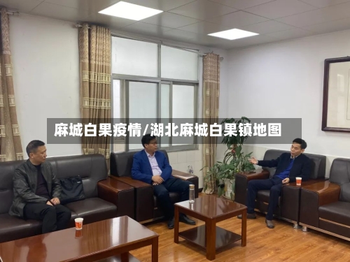 麻城白果疫情/湖北麻城白果镇地图-第2张图片