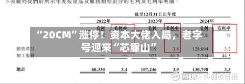 “20CM”涨停！资本大佬入局，老字号迎来“芯靠山”