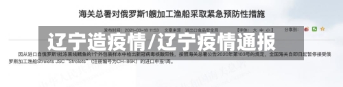 辽宁造疫情/辽宁疫情通报