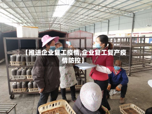 【推进企业复工疫情,企业复工复产疫情防控】-第2张图片
